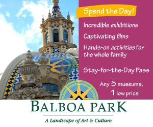 Stay for the Day Pass